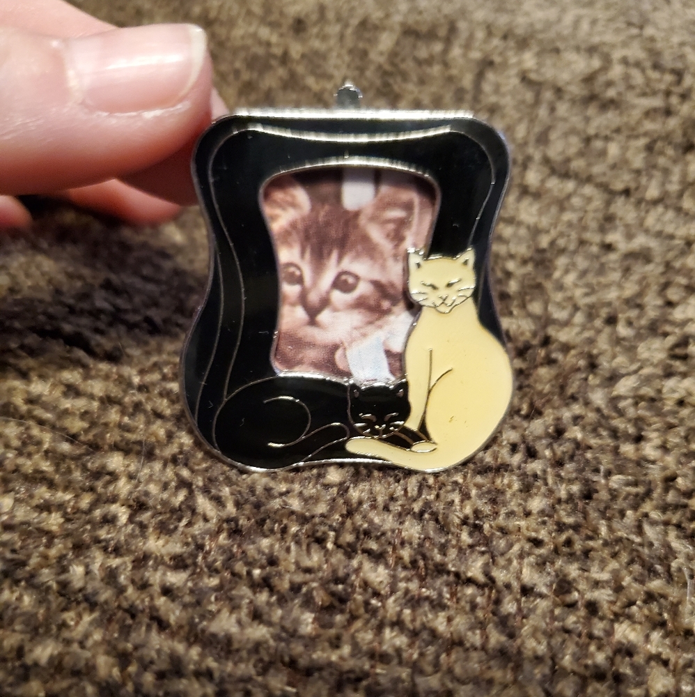 Vintage Cat Picture-frame Pin